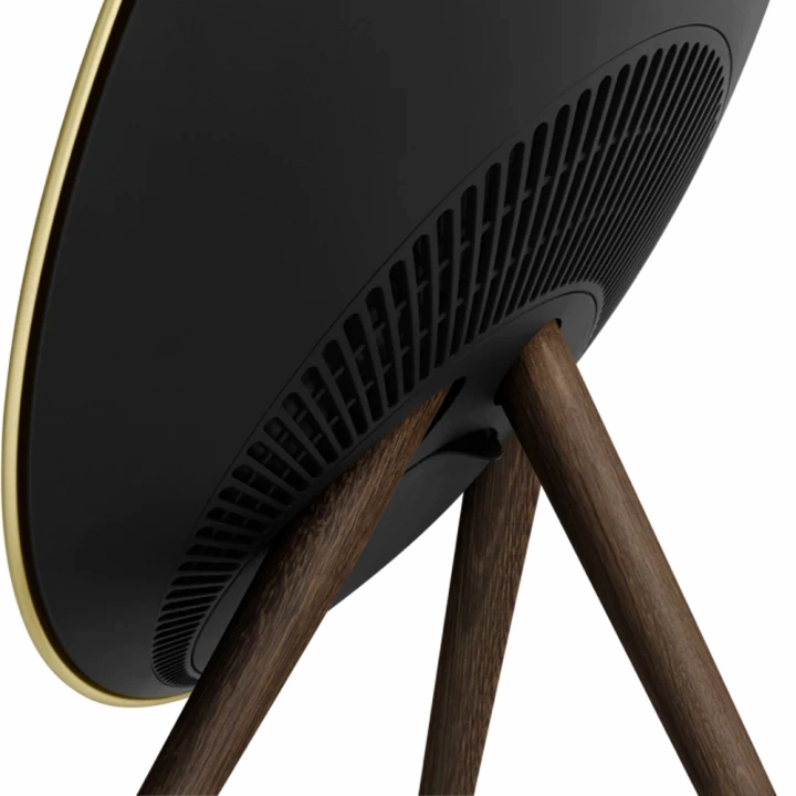 Loa Bang & Olufsen Beoplay A9 MK4