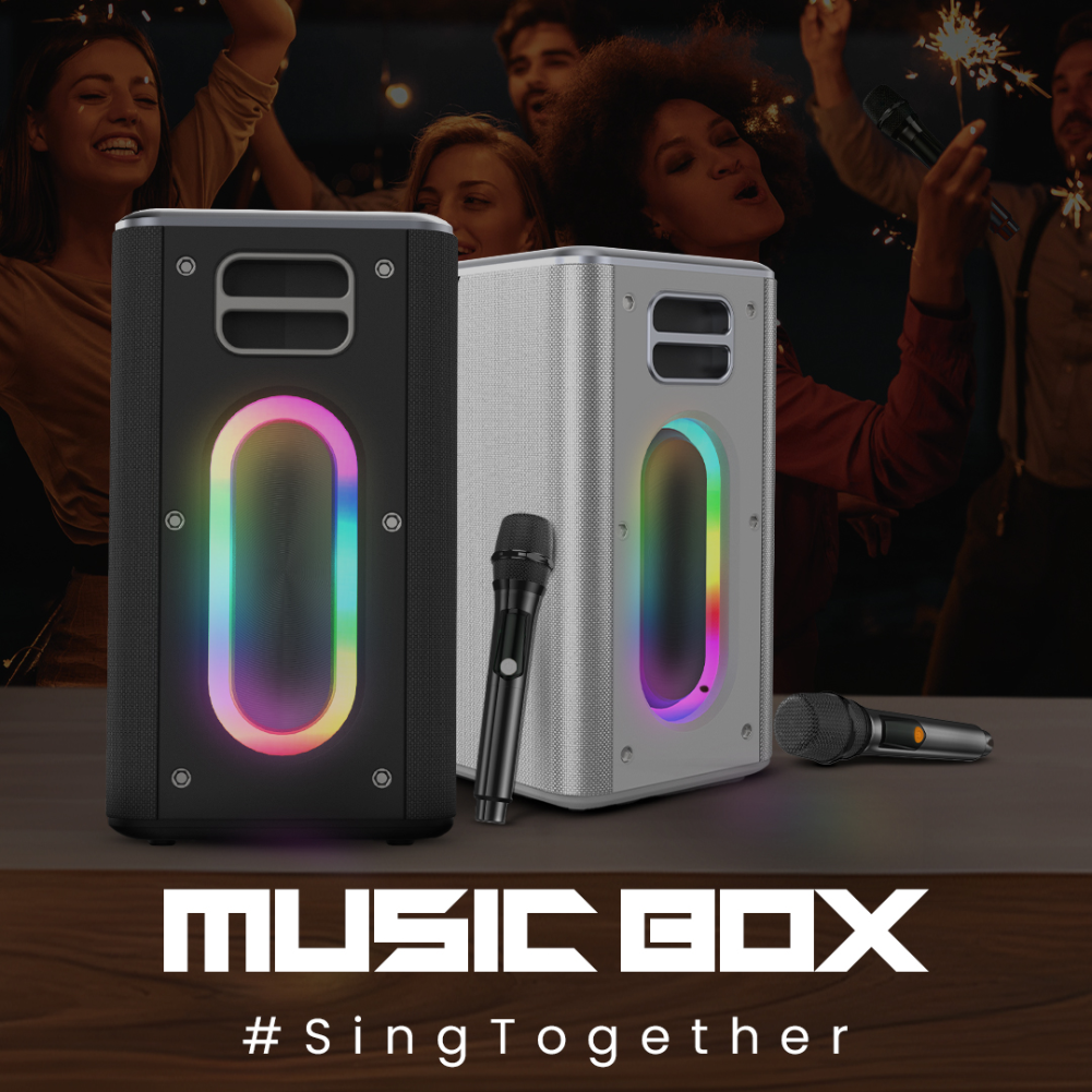 Loa Karaoke Di Động HiFuture Musicbox 100W ( Kèm 2 Micro Wireless)