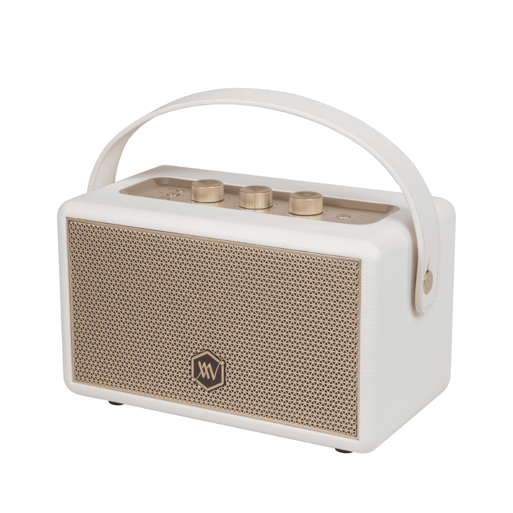 Loa Bluetooth Alpha Works W88 Chính hãng