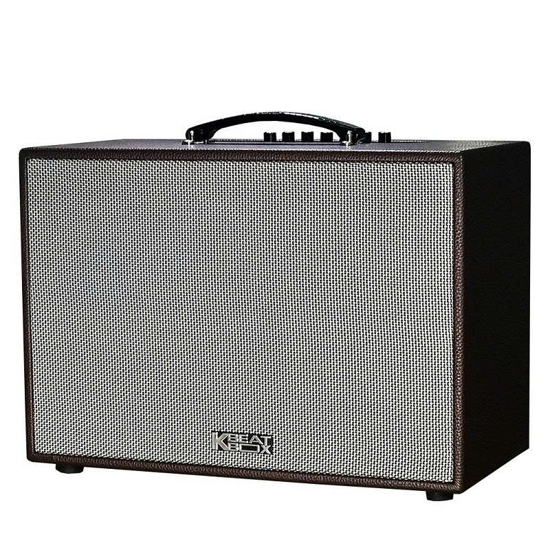 Loa Karaoke Di Động Acnos CS261PU