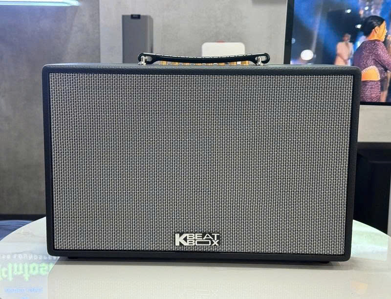 Loa Karaoke Di Động Acnos CS261PU